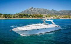SEA RAY 54