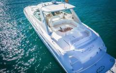 SEA RAY 54 (7)