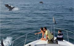 SUNSEEKER 68 SPORT (7)